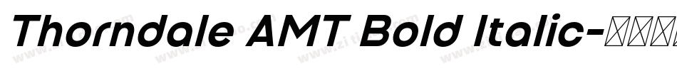 Thorndale AMT Bold Italic字体转换